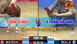 Trận 30 Bồ CPC2 29/3/2026 - Xanh Đá Nhanh Nhẹn Đâm Đỏ Lọt Oí Chạy Không Nổi