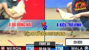 Trận 30 Bồ CPC2 31/3/2026 - Đỏ Đá Đâm Như Phim Xanh Xỉu Trên Tay