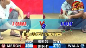 Tran 30 CPC2 19032026 Cu Nhap Vo Da 1 Cap Dieu Oi Chet Tai Cho