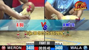 Trận 30 CPC2 25/03/2026 - Gà Úa Anh Mít Đá Bo Tươi Tới Phút Cuối Hạ Đỏ Phút Chót