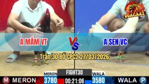 Trận 30 CPC2 27/03/2026 - Úa Chấp 2 Châm Đá Điều gãy Cổ Nặm Tại Ô