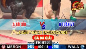 Trận 30 CPC3 22/03/2026 - Xanh Canh Chặn Đâm Cây Nghiệt Đỏ Xách Đui Ra Ngoài