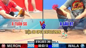Trận 30 CPC3 24/03/2026 - Đỏ Đá 3 Chân Xanh Gãy Giò Hết Đường Ra