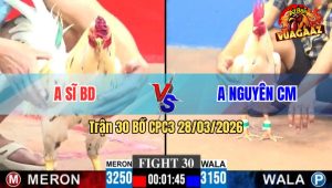 Trận 30 CPC3 28/03/2026 - Sĩ Bình Dương Gạt Giò Thành Công Nguyên Cà Mau