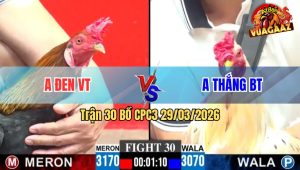 Trận 30 CPC3 29/03/2026 - Bướm Thắng BT Quá Hừng Đâm Điều Giãy Đành Đạch