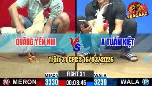 Trận 31 CPC2 16/03/2026 - Đỏ Nhanh Như Chớp Kéo Lúa Nhanh Gọn Lẹ