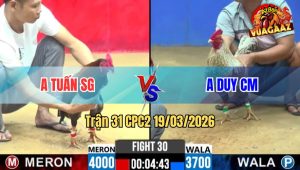 Tran 31 CPC2 19032026 Buom Da Toc Do Dam Dieu Te Khoi Sua