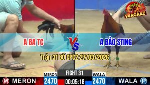 Trận 31 CPC2 27/03/2026 - Anh Kiểm Nài Gà Đẳng Cấp Lội Ngược Dòng Phút 90