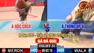 Trận 31 CPC3 22/03/2026 - Điều Đá Bông Ói Xong Bỏ Chạy Bay Bồ