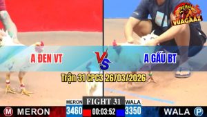Trận 31 CPC3 26/03/2026 - Đỏ Đâm Như Sát Thủ Hạ Gà Xanh Té Tuyệt Đối