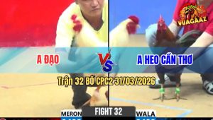 Trận 32 Bồ CPC2 31/3/2026 - Điều Đá Đúng 3 Chân Đâm Úa Lật Xe