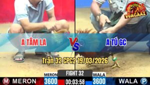 Tran 32 CPC2 19032026 Que Da Chan Nao Cung Dam Dieu Xiu Ngay Tay Nuoc Dau