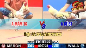 Trận 32 CPC3 21/03/2026 - Bé Bến Tre Gom Bồ Buông Ra Cú Đá Cho Bướm Ná Thở