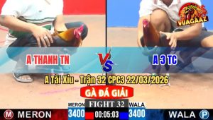 Trận 32 CPC3 22/03/2026 - Đỏ Đá 2 Chân Xanh Lìa Chân Nằm Biệt