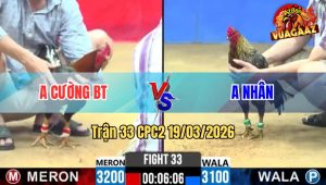 Tran 33 CPC2 19032026 Xam Chan Xanh Co Chan Quyet Dinh Ha Doi Thu Phut Cuoi