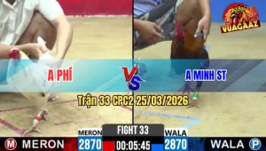Trận 33 CPC2 25/03/2026 - Gà Xanh Hiệu Của Idol Minh Lý Đá Quá Cựa Đỏ Chỉ Biết Chào Thua