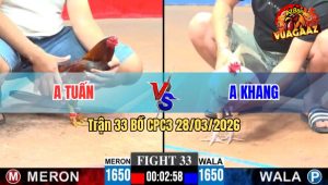 Trận 33 CPC3 28/03/2026 - Bướm Đâm Không Kịp Thở Đỏ Bưng Ra Trong 1 Nốt Nhạc