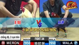 Trận 34 CPC2 25/03/2026 - Đỏ Chấp Ngông Buông Ra Xanh Lùa Nạp 1 Dây Đứt Đường