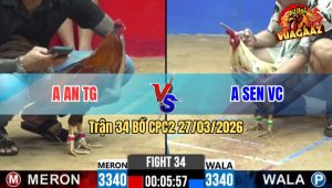 Trận 34 CPC2 27/03/2026 - Bướm Đá Khét Hư Hết Xong Tự Xỉu Thua Phút 90