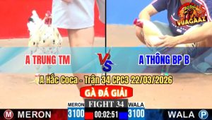 Trận 34 CPC3 22/03/2026 - Bướm Dí Bạc Buông Ra Úa Đá Không Kịp Chạy