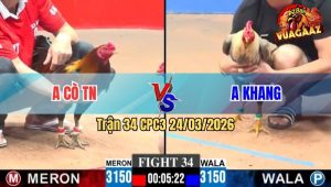 Trận 34 CPC3 24/03/2026 - Điều Canh Chặn Tốt Chỉ Vài Chân Cú Lọt Cựa Ói Bưng Ra