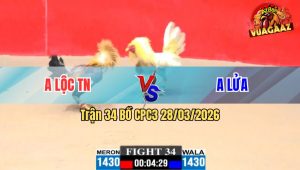 Trận 34 CPC3 28/03/2026 - Đỏ Phản Kèo Phút 90 Khiến Gà Xanh Phải Bể Nợ