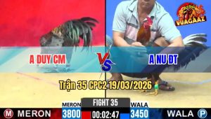 Tran 35 CPC2 19032026 Xanh Chap Ngong Di Bac Buong Ra Do Da Cay Lung Te