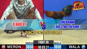 Trận 35 CPC2 25/03/2026 - Chú Khanh Nhờ Bảo Sting Ra Thả Và Cái Kết Bất Ngờ