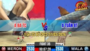Trận 35 CPC2 27/03/2026 - Xanh Muốn Xỉu Vẫn Gồng Đá Đỏ Té Lại