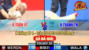Trận 35 CPC3 22/03/2026 - Đỏ Siết 1 Tay Nước Đâm Xanh Dội Cựa Chạy