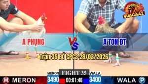 Trận 35 CPC3 28/03/2026 - Úa Điềm Tĩnh Canh Đúng Thời Điểm Đâm Gà Cú Lật Xe