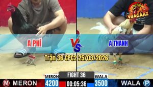 Trận 36 CPC2 25/03/2026 - Xanh Nhẹ Hơn 7 Chấm Lao Vào Đá Như Vũ Bão Đỏ Chỉ Biết Đầu Hàng