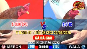 Trận 36 CPC3 22/03/2026 - Que Đá 1 Tay Nước Lấy Tiền Mua Xe