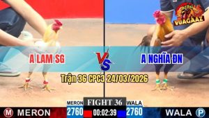 Trận 36 CPC3 24/03/2026 - Úa Đá Đâm Trúng Điểm Điều Lọt Té Nằm Gọn