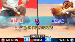 Trận 37 CPC3 24/03/2026 - Xám Lanh Lẹ Lòn Ra Sau Đáp Mấy Cây Lưng Hạ Điều