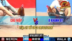 Trận 37 CPC3 28/03/2026 - Nài Đỏ Quá Giỏi Gồng Tới Phút 90 Phản Kèo Chú Khanh
