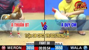 Tran 38 CPC2 19032026 Cu Chan Trang Da Cay Ngay Dau Ua Chet Tai O