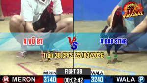 Trận 38 CPC2 25/03/2026 - Xanh Idol Chấp Quá Ngông Buông Ra Đỏ Đá Cho Xì Ói