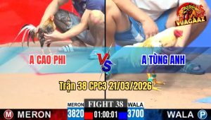 Trận 38 CPC3 21/03/2026 - 2 Idol Gà Tre Đụng Nhau Và Cái Kết Ngỡ Ngàng Phút 90