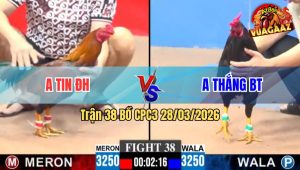 Trận 38 CPC3 28/03/2026 - Xanh Đâm Như Sát Thủ Hạ Gà Đỏ Tuyệt Đối