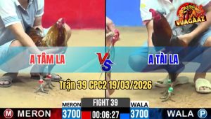 Tran 39 CPC2 19032026 Bong Di Bo Cung Dam Dieu Hu Het Bo Chay Bay Bo