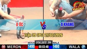 Trận 39 CPC3 21/03/2026 - Xanh Ra Cựa Khủng Hạ Đỏ Tuyệt Đối