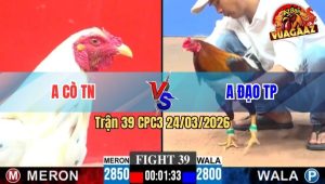 Trận 39 CPC3 24/03/2026 - Gà Đỏ Ra Chân Xanh Không Kịp Tránh Né Vô Tình Trúng Điểm Té Xe