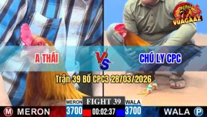 Trận 39 CPC3 28/03/2026 - Khét Tích Bạc Đá Như Chích Điện Điều Thua Gọn Gàng