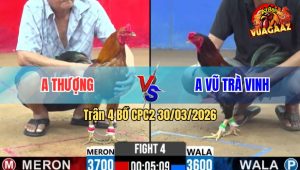 Trận 4 Bồ CPC2 30/3/2026 - Vàng Đá Que Xách Xe Đi Cầm Nhanh Lẹ