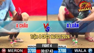 Trận 4 CPC2 16/03/2026 - Que Đá Cây Lưng Đâm Điều Xì Xỉu Hết Sửa