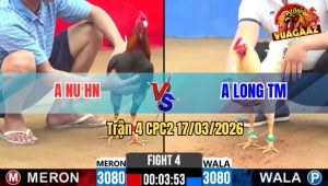 Trận 4 CPC2 17/03/2026 - Long Phục Thù Thành Công Anh Nu Giống Như Kịch Bản Cũ