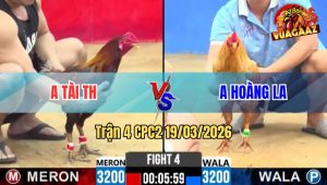 Tran 4 CPC2 19032026 Cu Buong Ra Nap Dieu 1 Tang Keo Lua Ve Bo