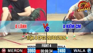 Tran 4 CPC2 20032026 Dieu Chap Ngong Va Cai Ket Hu Hinh Sau 3 Da 1