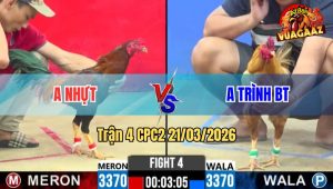 Tran 4 CPC2 21032026 Dieu Da Khet Muon Hu Khet Da Lai Dieu Xiu Bo O 1